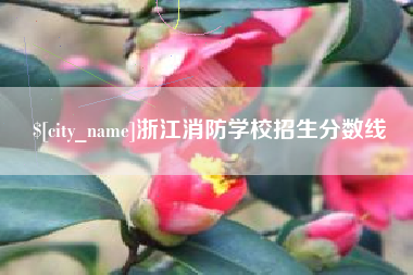 西宁浙江消防学校招生分数线