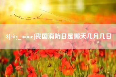 西宁我国消防日是哪天几月几日