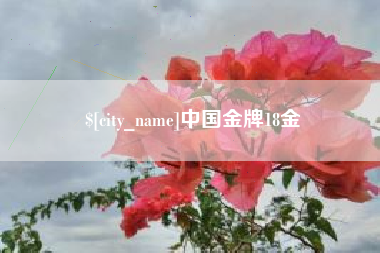 西宁中国金牌18金