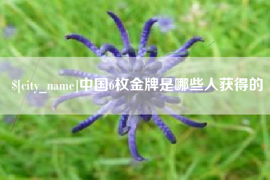 西宁中国6枚金牌是哪些人获得的