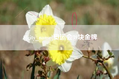 西宁奥运会39块金牌