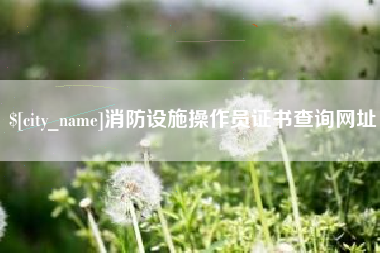 西宁消防设施操作员证书查询网址