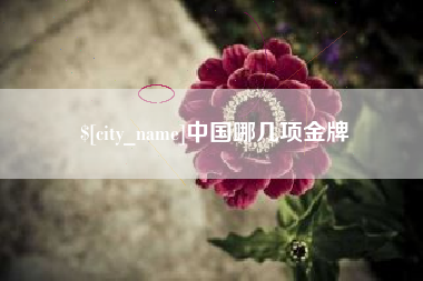 西宁中国哪几项金牌