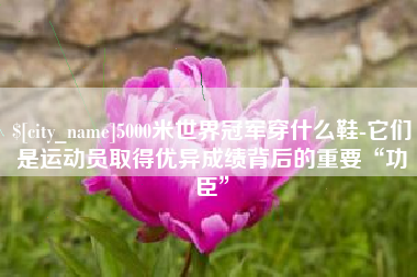 西宁5000米世界冠军穿什么鞋-它们是运动员取得优异成绩背后的重要“功臣”