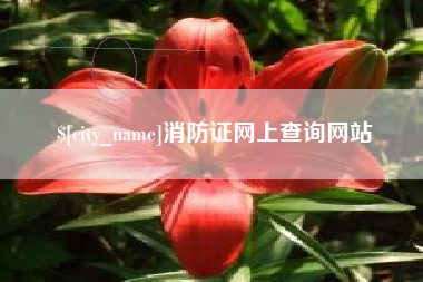 西宁消防证网上查询网站