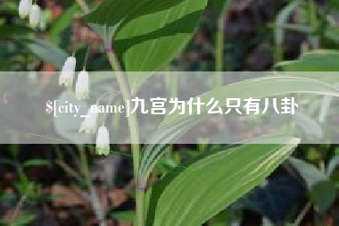 西宁九宫为什么只有八卦