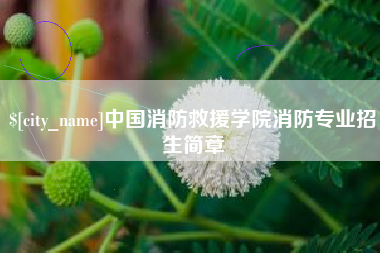 西宁中国消防救援学院消防专业招生简章