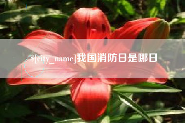 西宁我国消防日是哪日