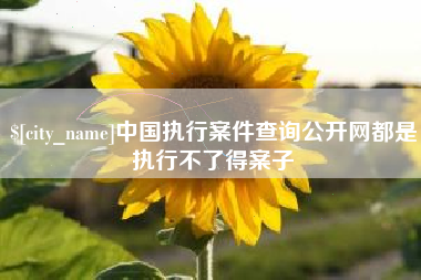 西宁中国执行案件查询公开网都是执行不了得案子