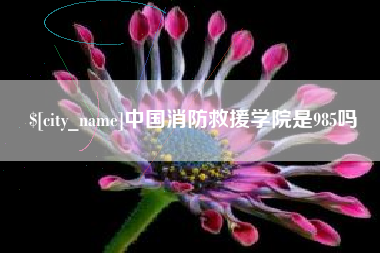西宁中国消防救援学院是985吗