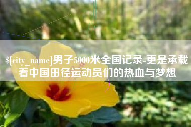 西宁男子5000米全国记录-更是承载着中国田径运动员们的热血与梦想