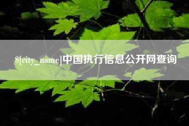 西宁中国执行信息公开网查询