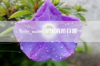 西宁全国消防日哪一