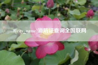 西宁消防证查询全国联网
