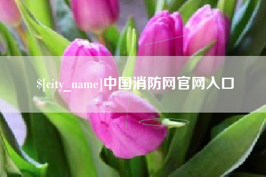 西宁中国消防网官网入口