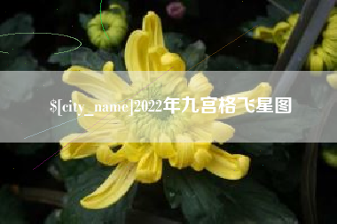 西宁2022年九宫格飞星图