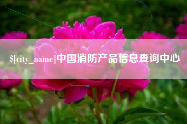 西宁中国消防产品信息查询中心