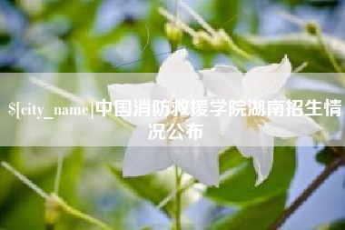 西宁中国消防救援学院湖南招生情况公布
