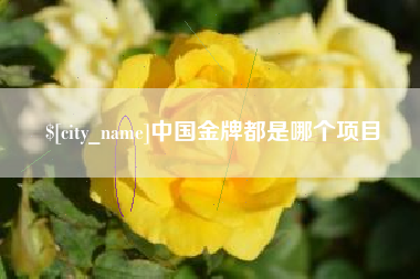 西宁中国金牌都是哪个项目