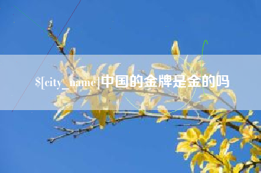 西宁中国的金牌是金的吗