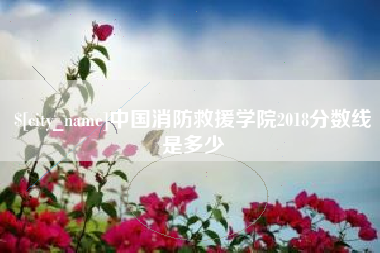 西宁中国消防救援学院2018分数线是多少