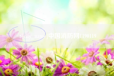 西宁中国消防网1190119