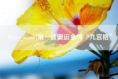 西宁第一波奥运金牌“九宫格”