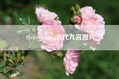 西宁古代九宫图片