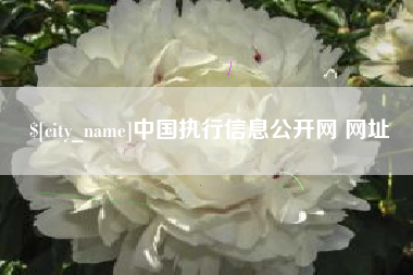 西宁中国执行信息公开网 网址
