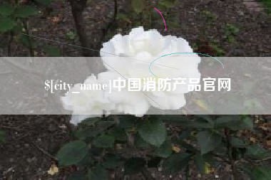西宁中国消防产品官网