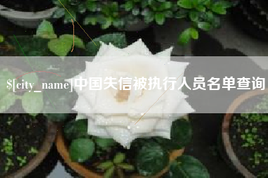西宁中国失信被执行人员名单查询