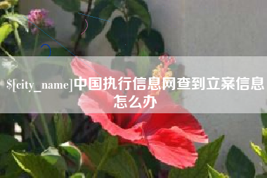 西宁中国执行信息网查到立案信息怎么办
