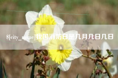 西宁我国消防日是几月几日几日