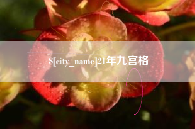 西宁21年九宫格