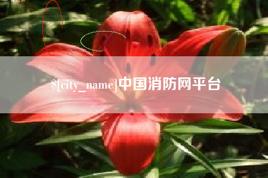 西宁中国消防网平台
