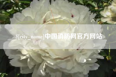 西宁中国消防网官方网站