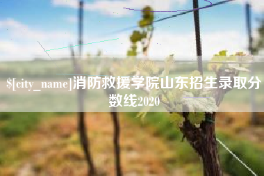 西宁消防救援学院山东招生录取分数线2020