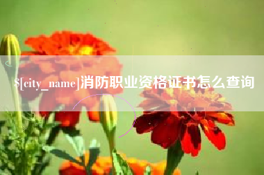 西宁消防职业资格证书怎么查询