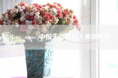 西宁中国失信执行人查询官网