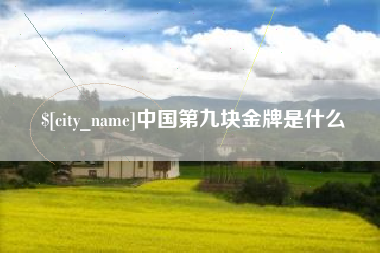 西宁中国第九块金牌是什么
