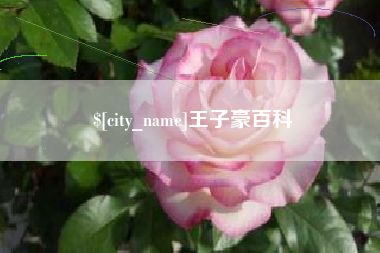 西宁王子豪百科