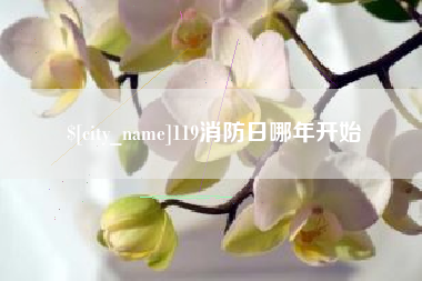 西宁119消防日哪年开始
