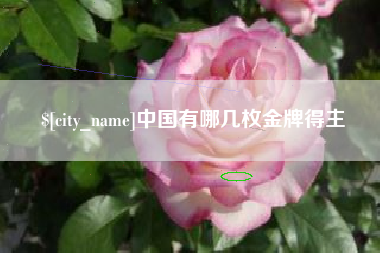 西宁中国有哪几枚金牌得主