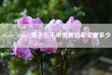 西宁男子五千米世界冠军奖金多少