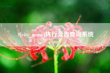 西宁执行公告查询系统