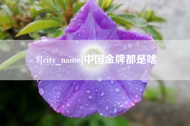 西宁中国金牌都是啥