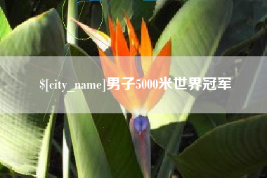 西宁男子5000米世界冠军