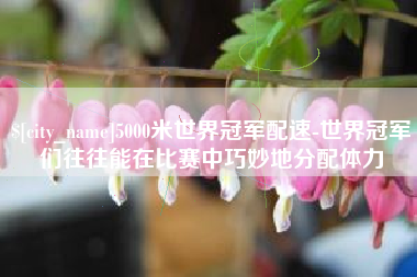 西宁5000米世界冠军配速-世界冠军们往往能在比赛中巧妙地分配体力