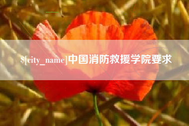 西宁中国消防救援学院要求