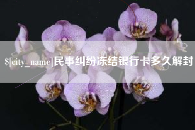 西宁民事纠纷冻结银行卡多久解封